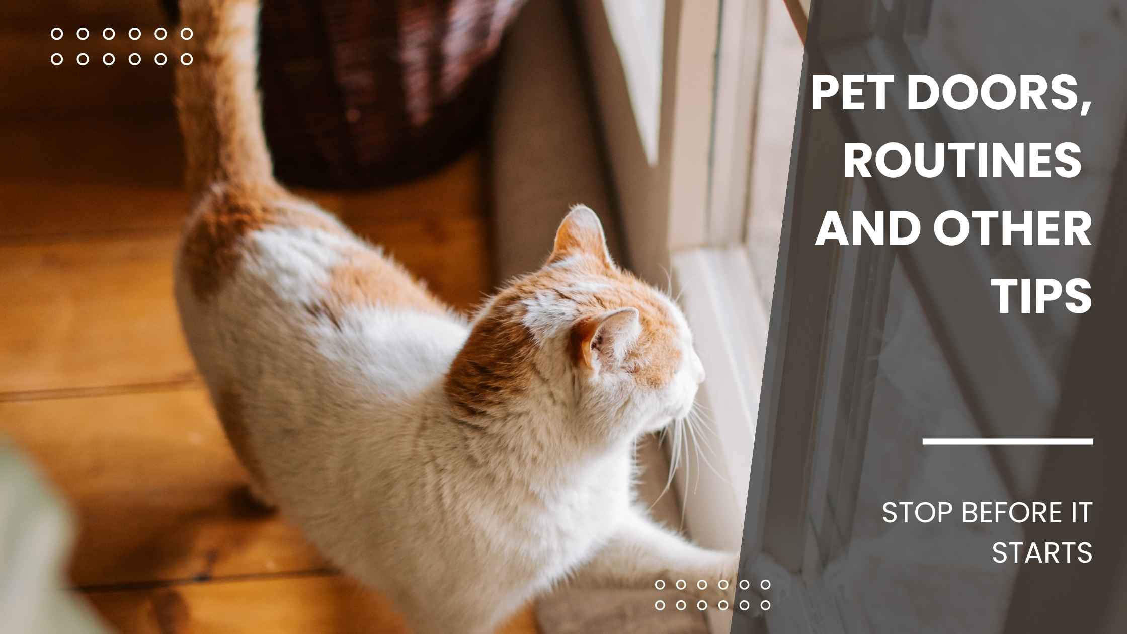 how to make your cat stop scratching the door