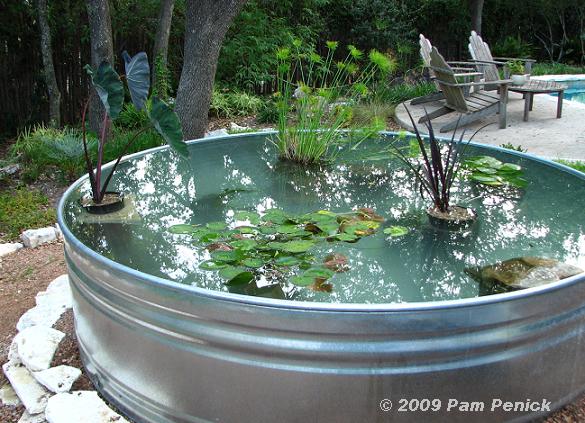 Garden-Container-Pond