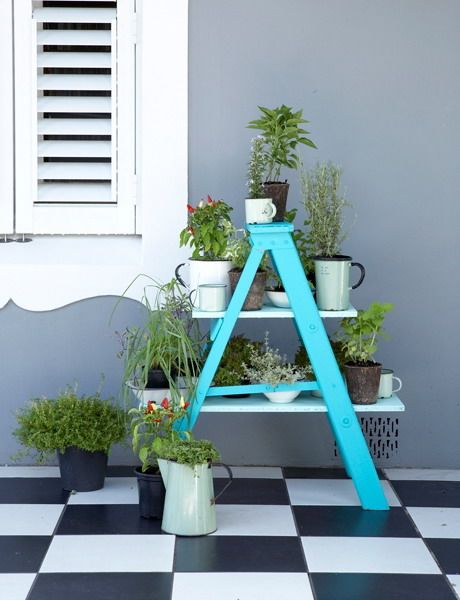 Plant-On-Ladders