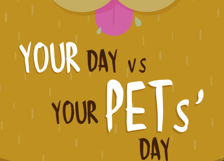 Your Day vs Your Pets' Day featured image