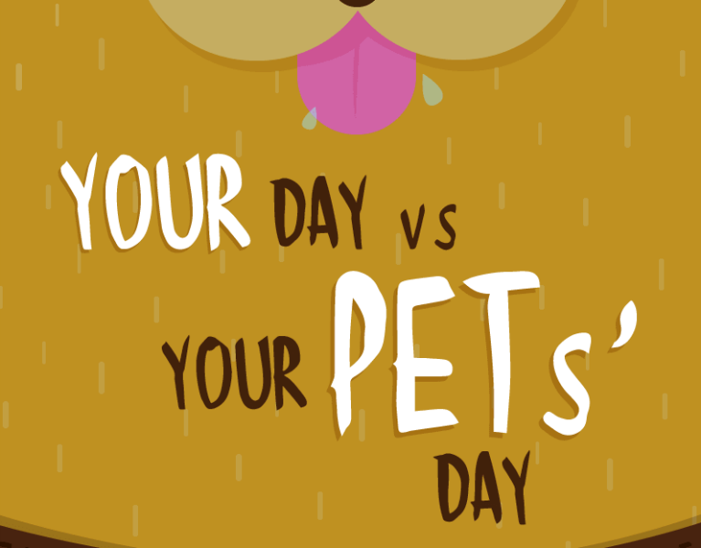 What Do Pets Do All Day? Your Day vs. Your Pets’ Day