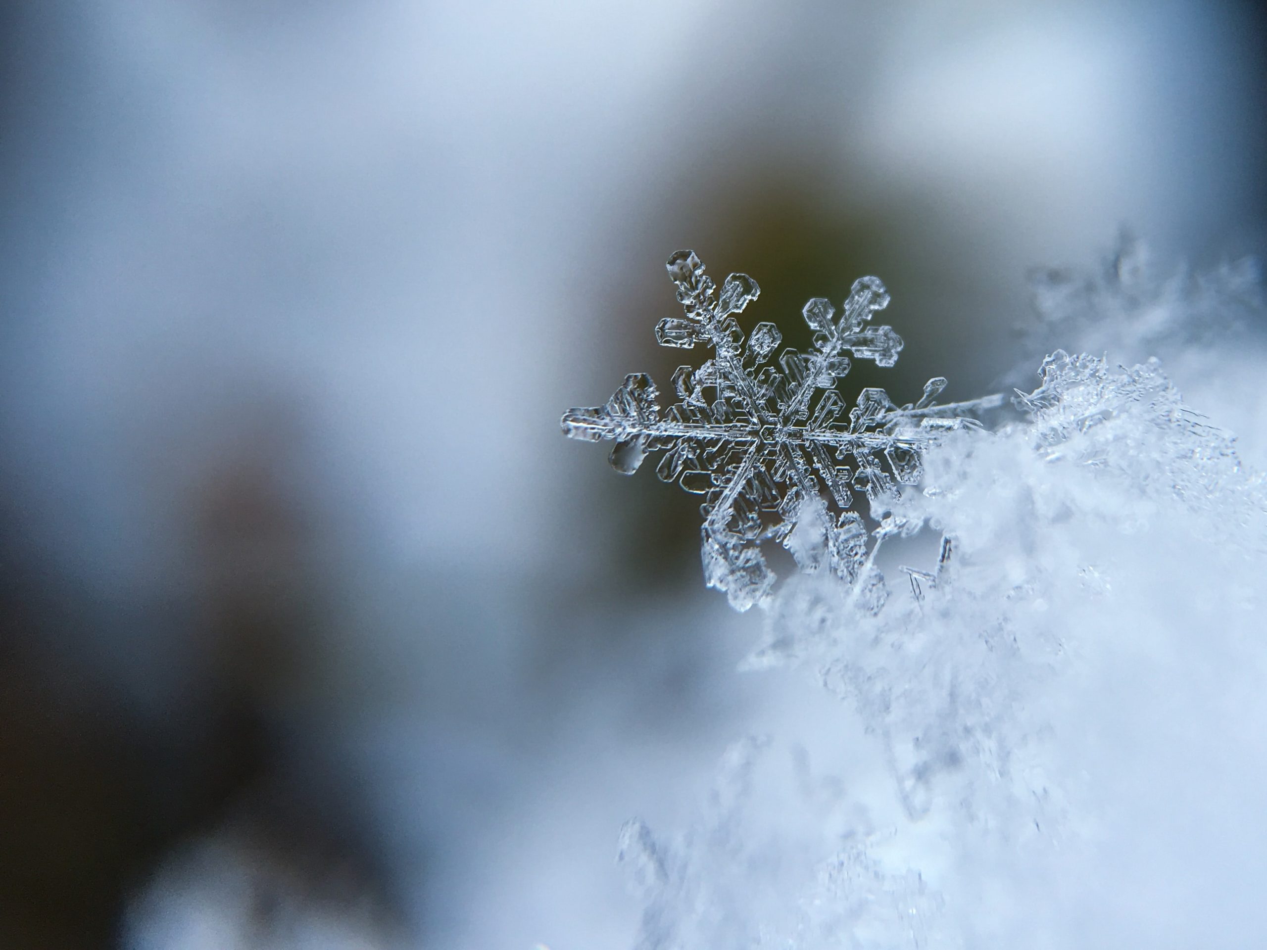 Close-up photograph of a snowflake