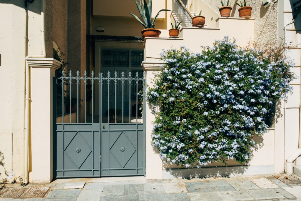 Photograph of a gate leading to a house with a flowering shrub next to it