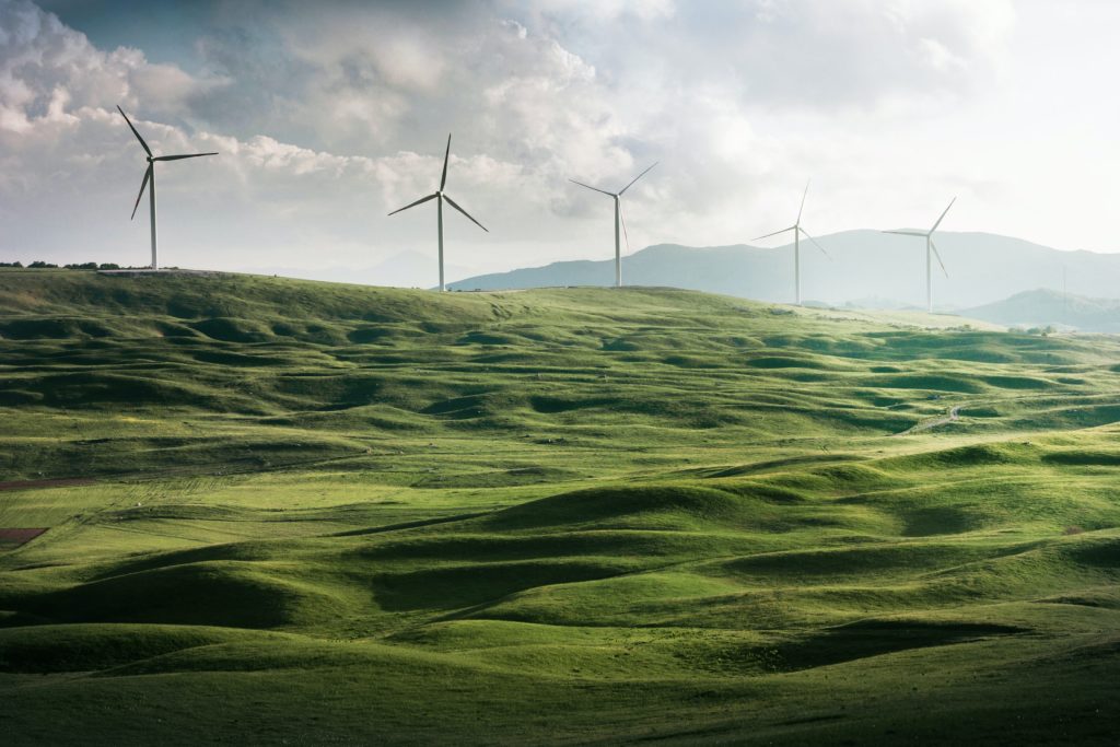 Photograph of 5 wind turbines in a field