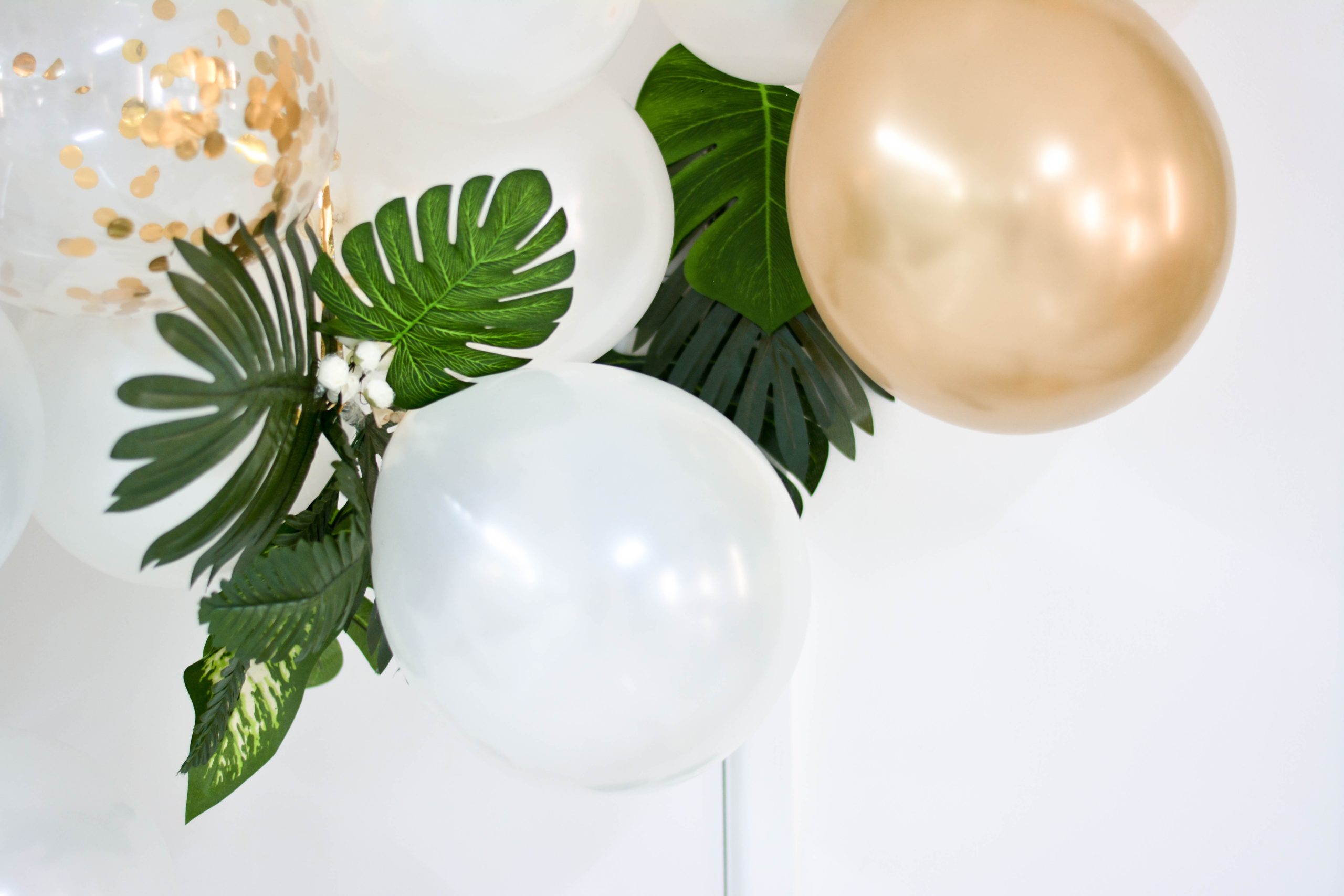 white and gold balloons with leafy houseplants